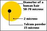 Microns vs Human Hair